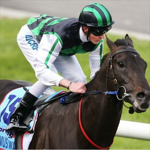 Cox Plate - Winning jockey Chad Schofield