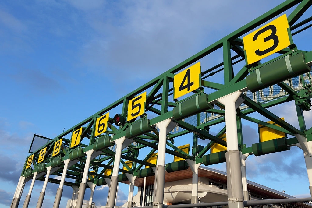 Fear of Losing in Horse Racing Betting