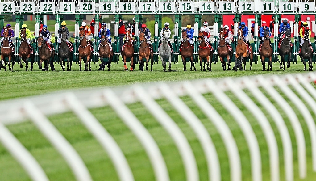 The Best Horse Racing Barrier Position