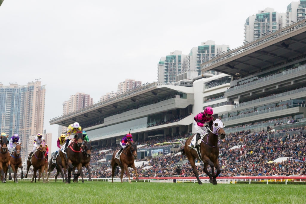 Melbourne Cup 2022: How to bet, when is it, how does the race work?