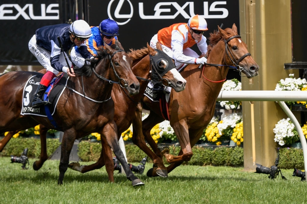 2022 Melbourne Cup Tips