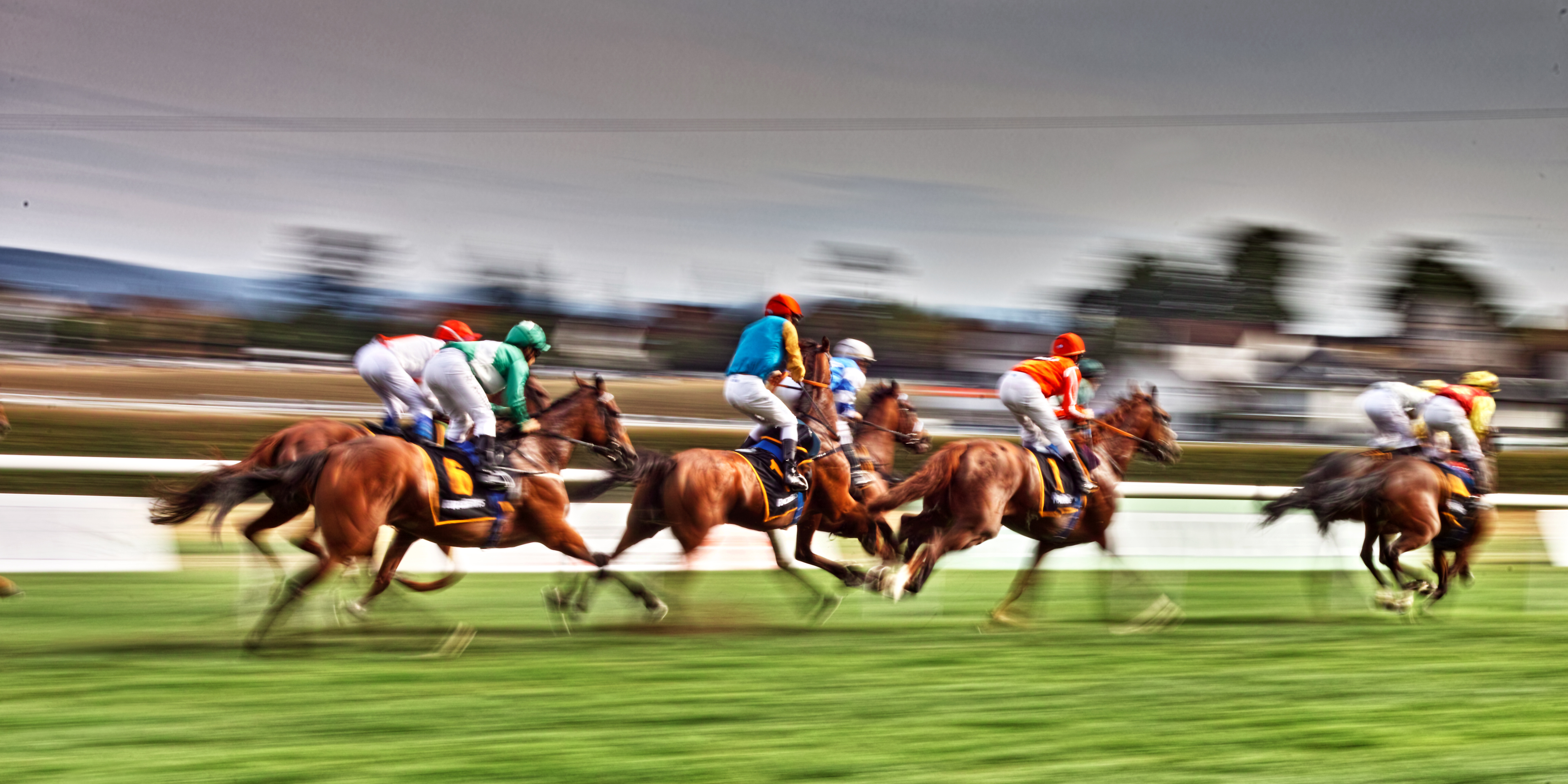Weekly Results + Lachlan Mosley Morphettville Preview