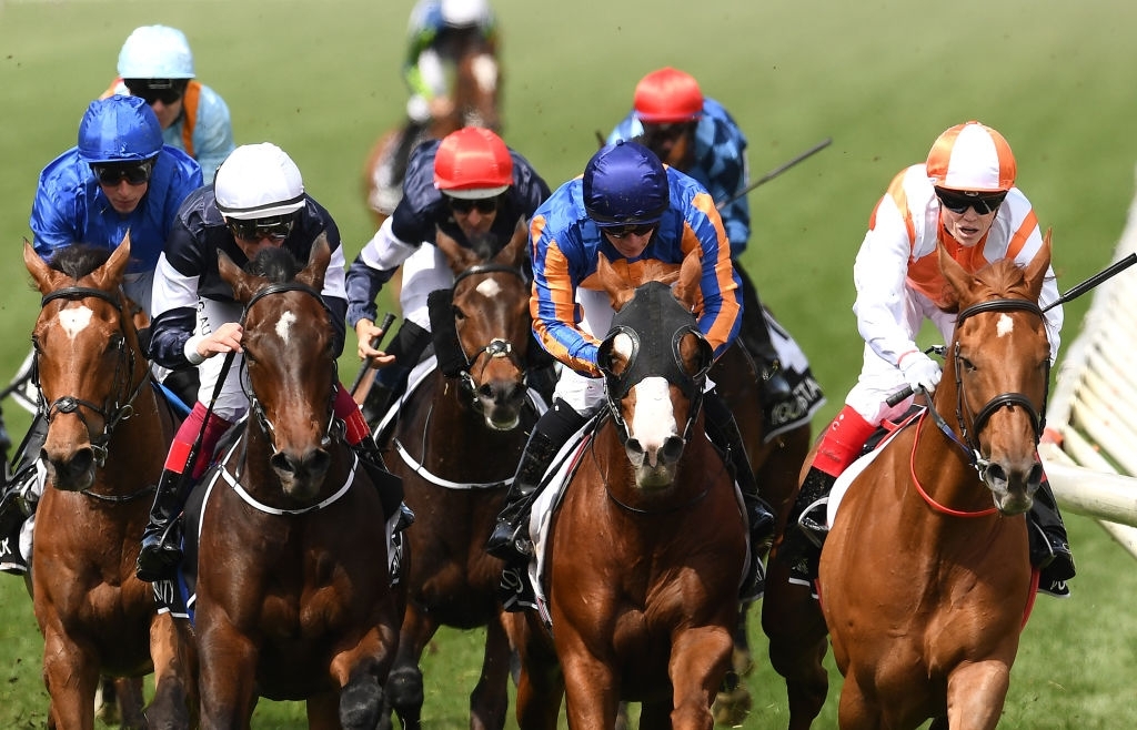 Weekly Results + Lachlan Mosley Morphettville Preview 26 November 2022