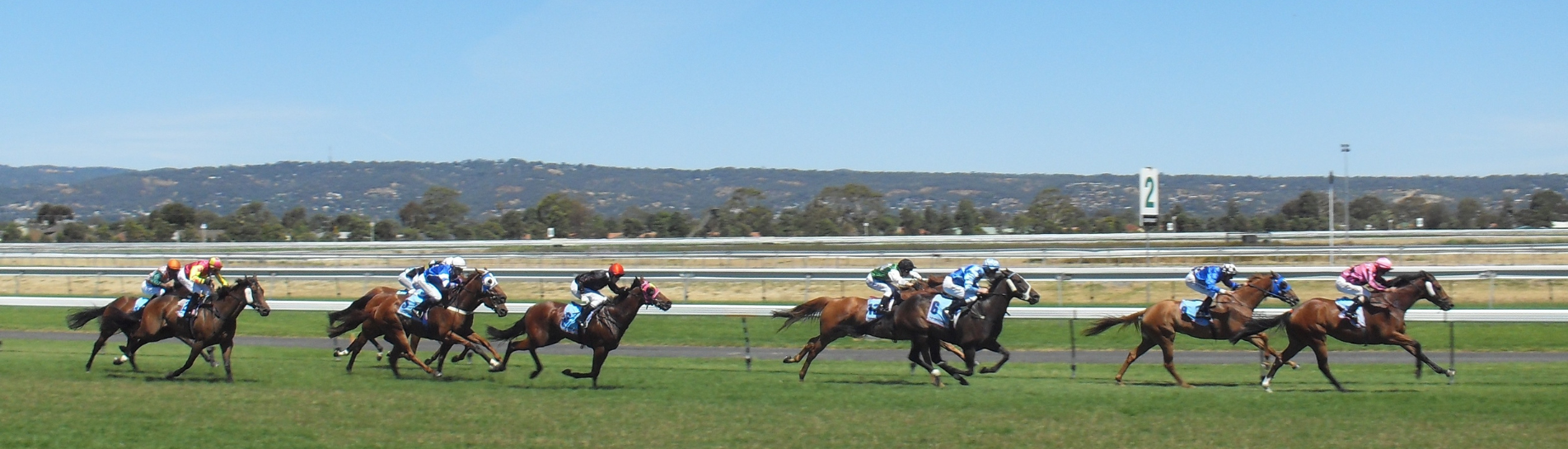 Saturday Newsletter 25 May 2024