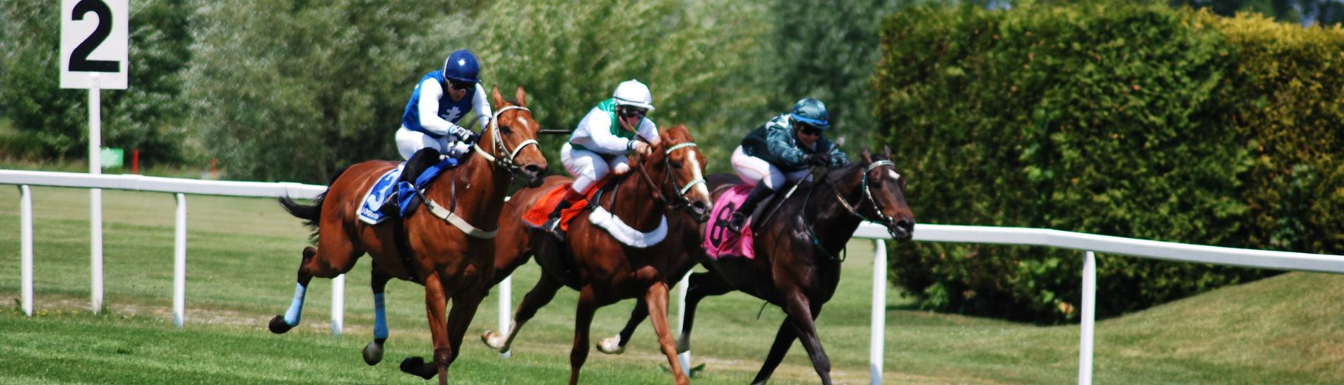 Saturday Newsletter 22 June 2024