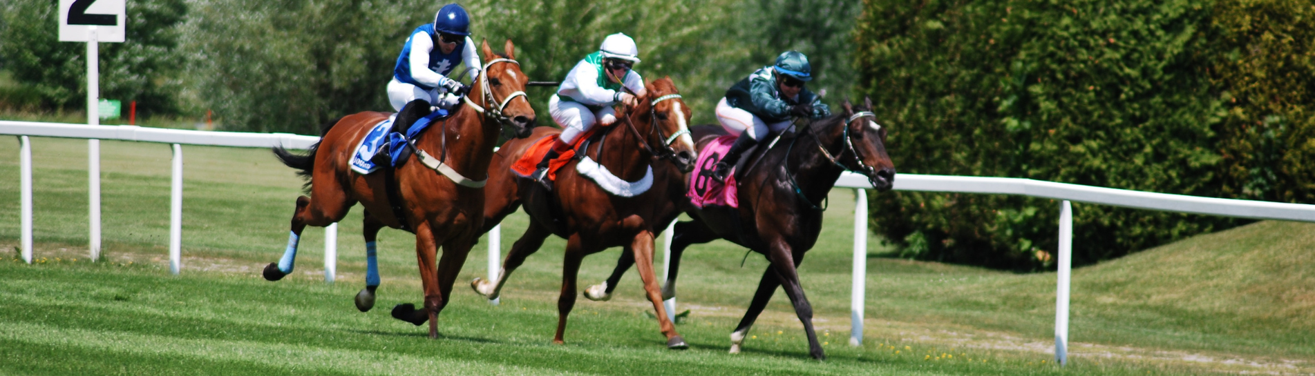 Saturday Newsletter 31 August 2024