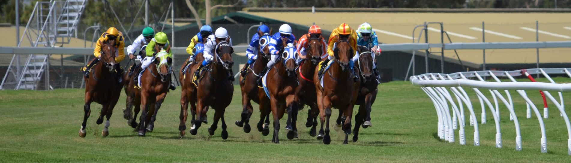 Saturday Newsletter 9 August 2025