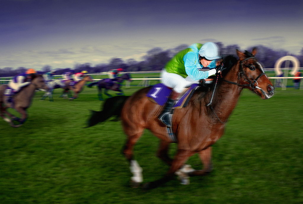 Profiling Statistics on Victorian Jockeys